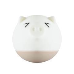 Silicone lamp